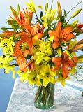 Asiatic Sunset Lilies