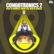 Congotronics Vol.2