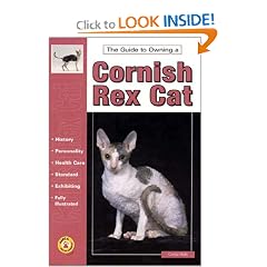 The Guide to Owning a Cornish Rex Cat (RE 418)