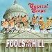 Fools on the Hill