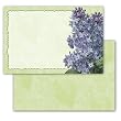 Sweet Remembrances - Set of 10 Correspondence Greeting Cards and Envelopes