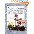 Mushrooms and Other Fungi of North America