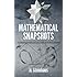 Mathematical Snapshots (Dover Recreational Math)