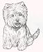 Dog Rubber Stamp - West Highland White Terrier - 1E