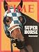 Secretariat, Race Horse, Art Poster by TIME Magazine, size 11