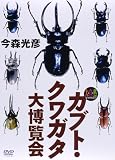 �厩�R���C�u�����[ �J�u�g�E�N���K�^�唎���� [DVD]