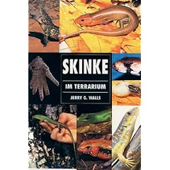 Skinke im Terrarium
