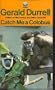 Catch Me a Colobus
