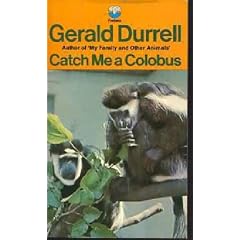 Catch Me a Colobus