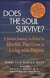 Image of Does the Soul Survive?: A Jewish Journey to Belief in Afterlife, Past Lives & Living with Purpose