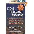 Does the Soul Survive: A Jewish Journey to Belief in Afterlife, Past Lives and Living With a Purpose by Elie Kaplan Spitz