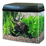 Pet Supplies : Eclipse 12 Gallon Acrylic Aquarium System