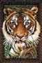 Wonderart 27x40 Latch Hook Kit: Tiger