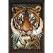 Wonderart 27x40 Latch Hook Kit: Tiger