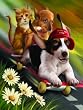 Born to Ride 500pc Jigsaw Puzzle by Tom Wood