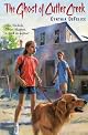 The Ghost of Cutler Creek (Ghost Mysteries)