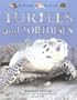Turtles and Tortoises (Nature Watch)