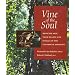 Vine of the Soul: Medicine Men, Their Plants and Rituals in the Colombian Amazonia