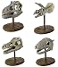 Dinosaur Skulls, Dig Dino Skulls