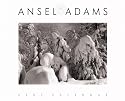 Ansel Adams 2007 Wall Calendar