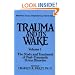 Trauma and Its Wake (Brunner Mazel Psychosocial Stress, No. 4)