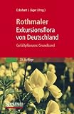 Produkt-Bild: Rothmaler - Exkursionsflora von Deutschland. Gef&auml;&szlig;pflanzen: Grundband