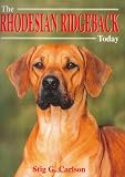 Absent Friend (Book of the Breed S)