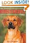 The Rhodesian Ridgeback...
