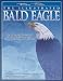 The Illustrated Bald Eagle (The Denny Rogers Visual Reference series) by Denny Rogers