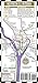Streetwise Washington DC Metro Map - Laminated Washington DC Metrorail & Mall Map - Pocket Size