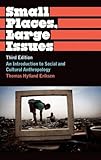 Small places, large issues : an introduction to social and cultural anthropology