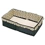 Graco Infant Travel Bed in Graham