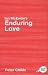 Ian McEwan's "Enduring Love" (Routledge Guides to Literature)