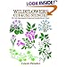 Wildflowers Cut & Use Stencils: 52 Full-Size Stencils Printed on Durable Stencil Paper (Dover Pictorial Archive Series)