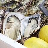 【ファームスズキ】塩田熟成　殻付き牡蠣15個　(110g～140g/1個)　【広島県大崎上島産】（オイスターナイフ・大崎上島産レモン・軍手・牡蠣剥き方説明書付）