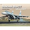Sukhoi Su-27 Flanker - Walk Around No. 47