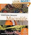 A Divers Guide to Underwater Malaysia Macrolife