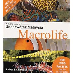A Divers Guide to Underwater Malaysia Macrolife