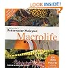 A Divers Guide to Underwater Malaysia Macrolife