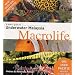 A Divers Guide to Underwater Malaysia Macrolife