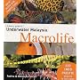 A Divers Guide to Underwater Malaysia Macrolife