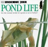 Pond