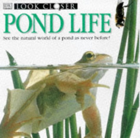 Pond (Look Closer)