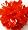 Bright Orange (2nd pom pon)