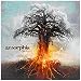 Mon top 20 des albums Metal 2009
