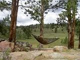 Camouflage Travel Hammock with FREE hanging kit: Great for camping, backpacking, hunting, traveling, fishing!