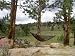 Sporting Goods : Camouflage Travel Hammock with FREE hanging kit: Great for camping, backpacking, hunting, traveling, fishing!