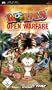 Worms: Open Warfare