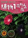 植物〈1〉花だんの花―アサガオ・ヒマワリ・ホウセンカなど (教科書に出てくる生きもの観察図鑑)