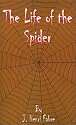 The Life of the Spider
